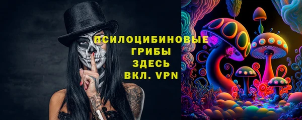 дурь Краснослободск