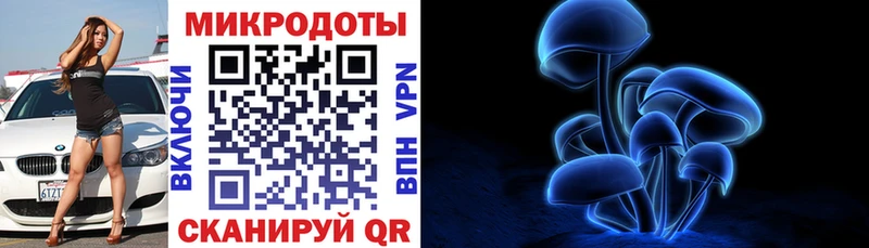 Купить  Салаир  Псилоцибиновые грибы Psilocybine cubensis 